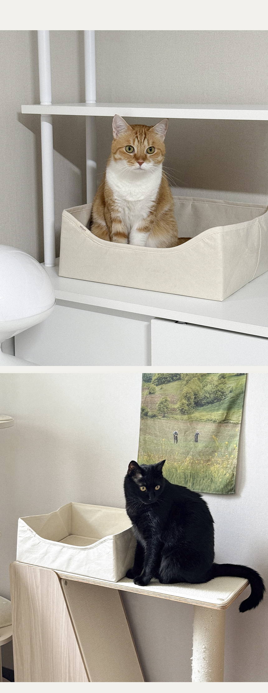 [NEW신상][무료배송] 세이펫 눕눕박스 스크래쳐 11번째