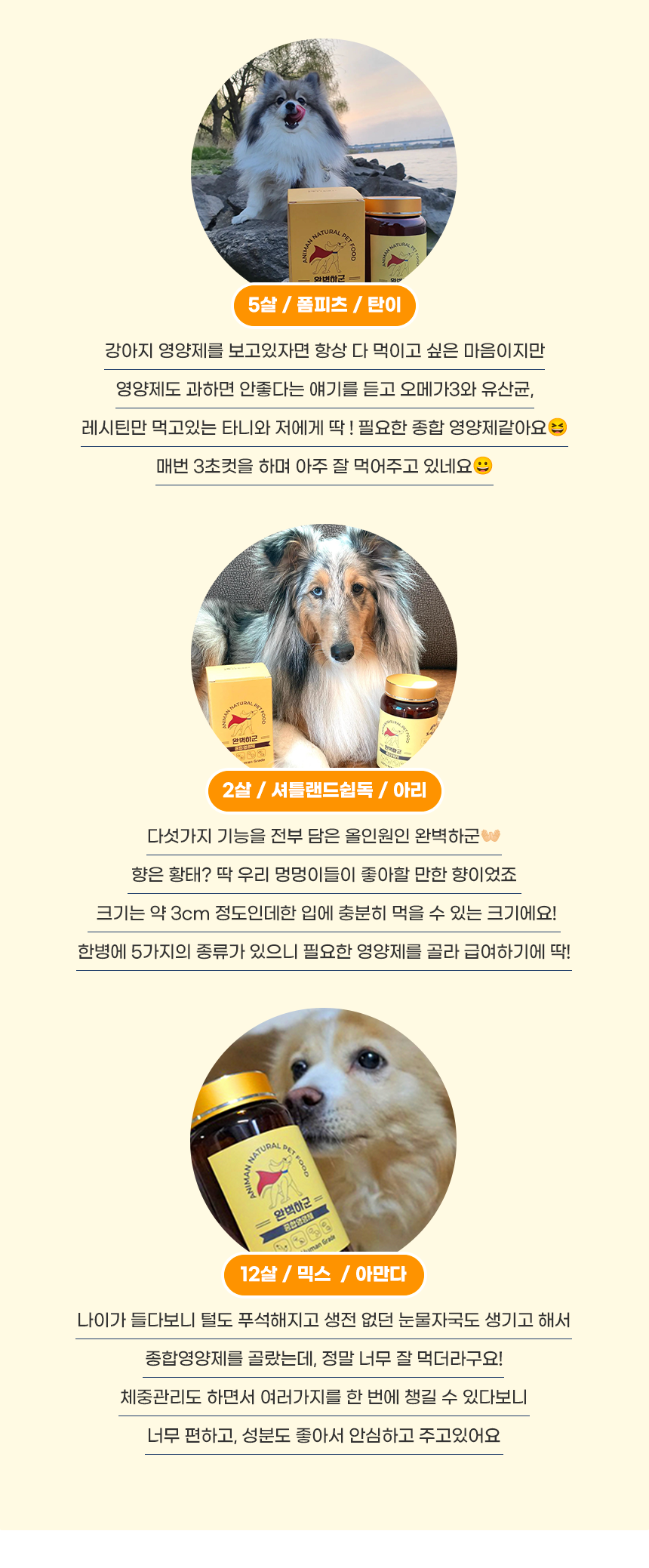 [무료배송] 애니먼 독 완벽하군 종합 영양제 250g 2번째