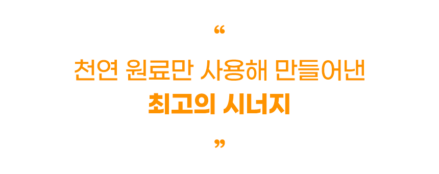 [무료배송] 애니먼 독 완벽하군 종합 영양제 250g 6번째