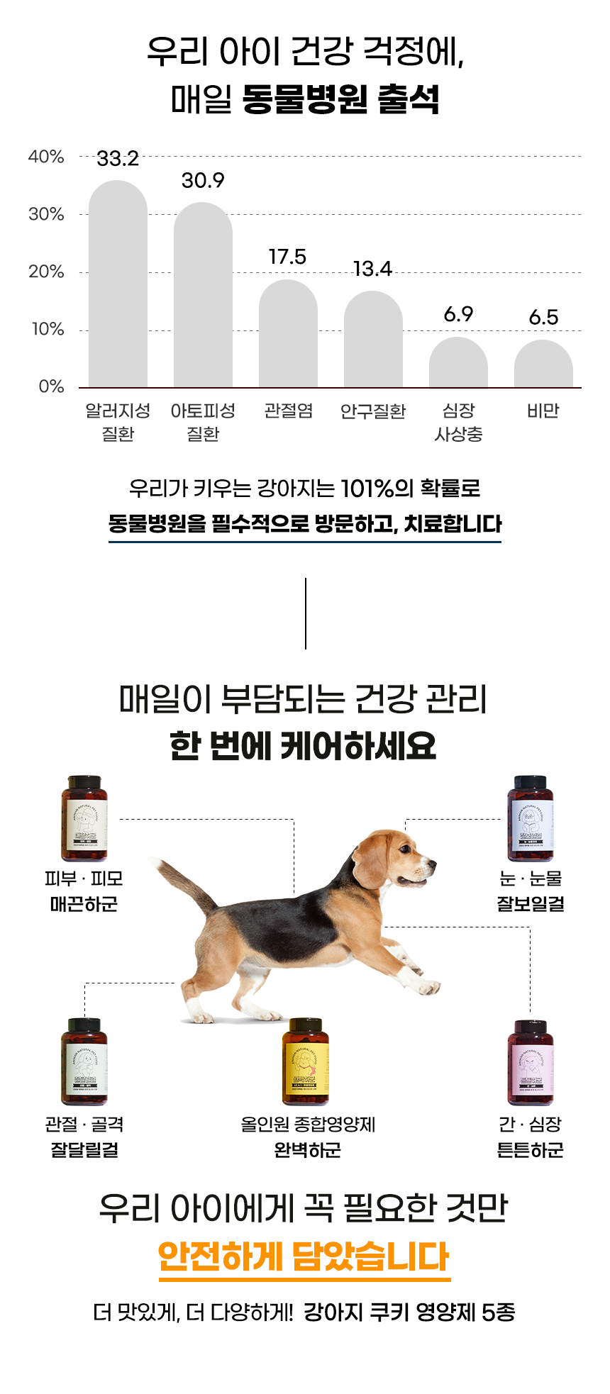 [무료배송] 애니먼 독 완벽하군 종합 영양제 250g 3번째