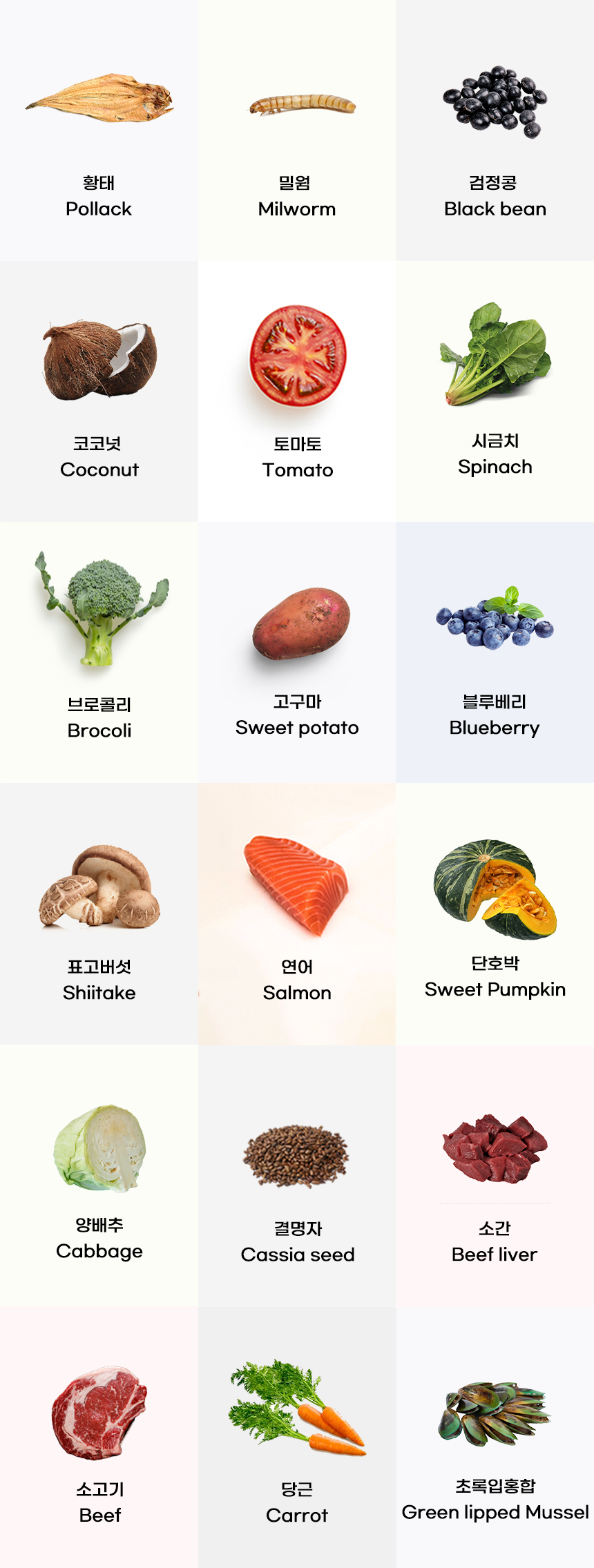 [무료배송] 애니먼 독 완벽하군 종합 영양제 250g 5번째