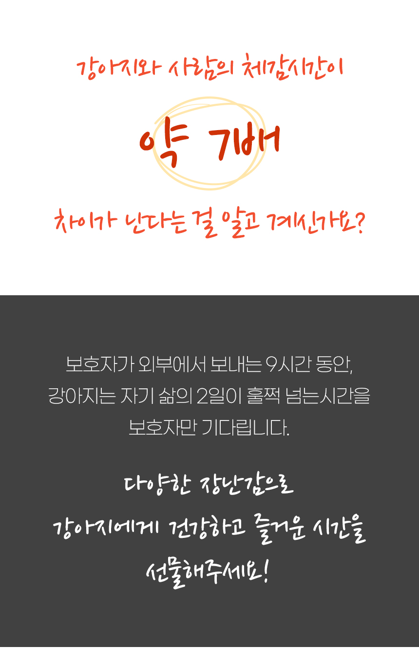 [무료배송] 펫토리아 강아지 노즈워크 장난감 [모음] 14번째
