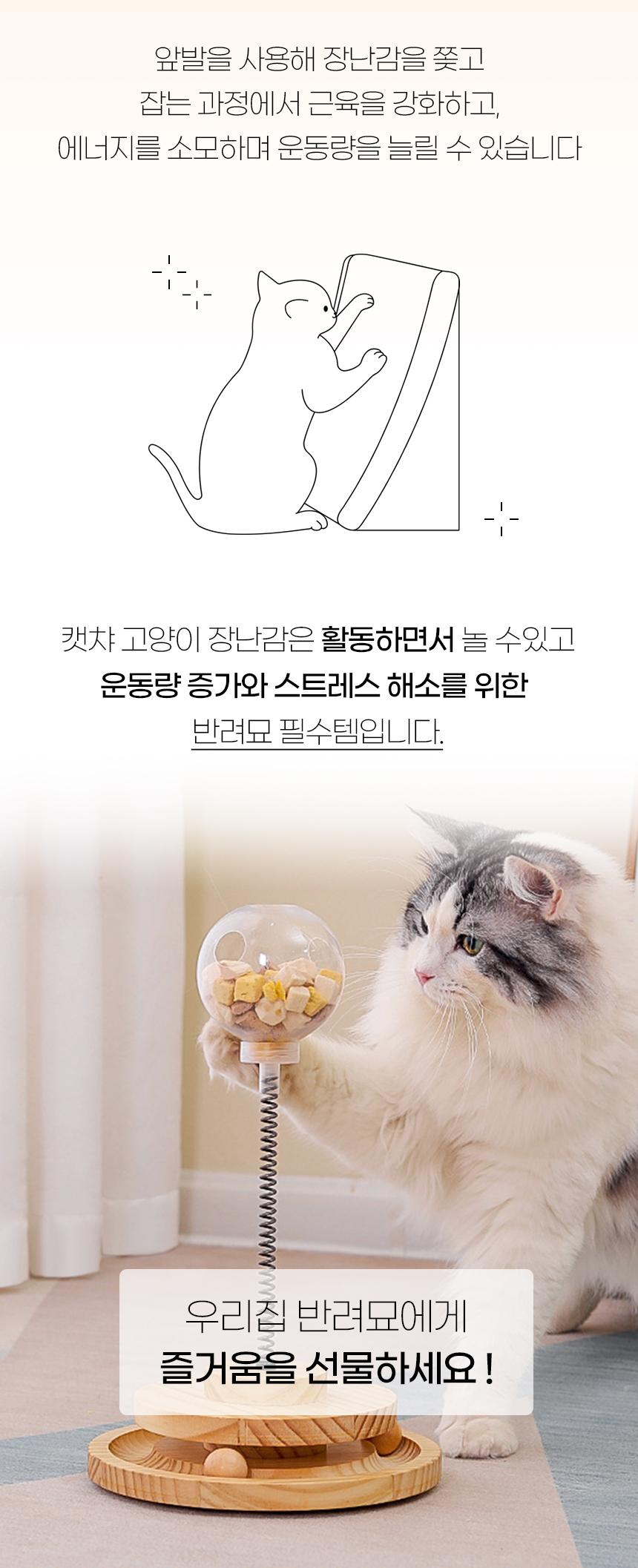 [NEW신상][무료배송] 개과천선 캣 캣챠 터치볼 장난감 2번째