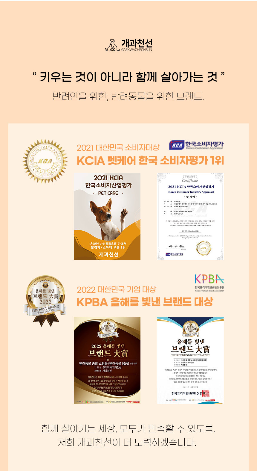 [NEW신상][무료배송] 개과천선 캣 캣챠 터치볼 장난감 3번째