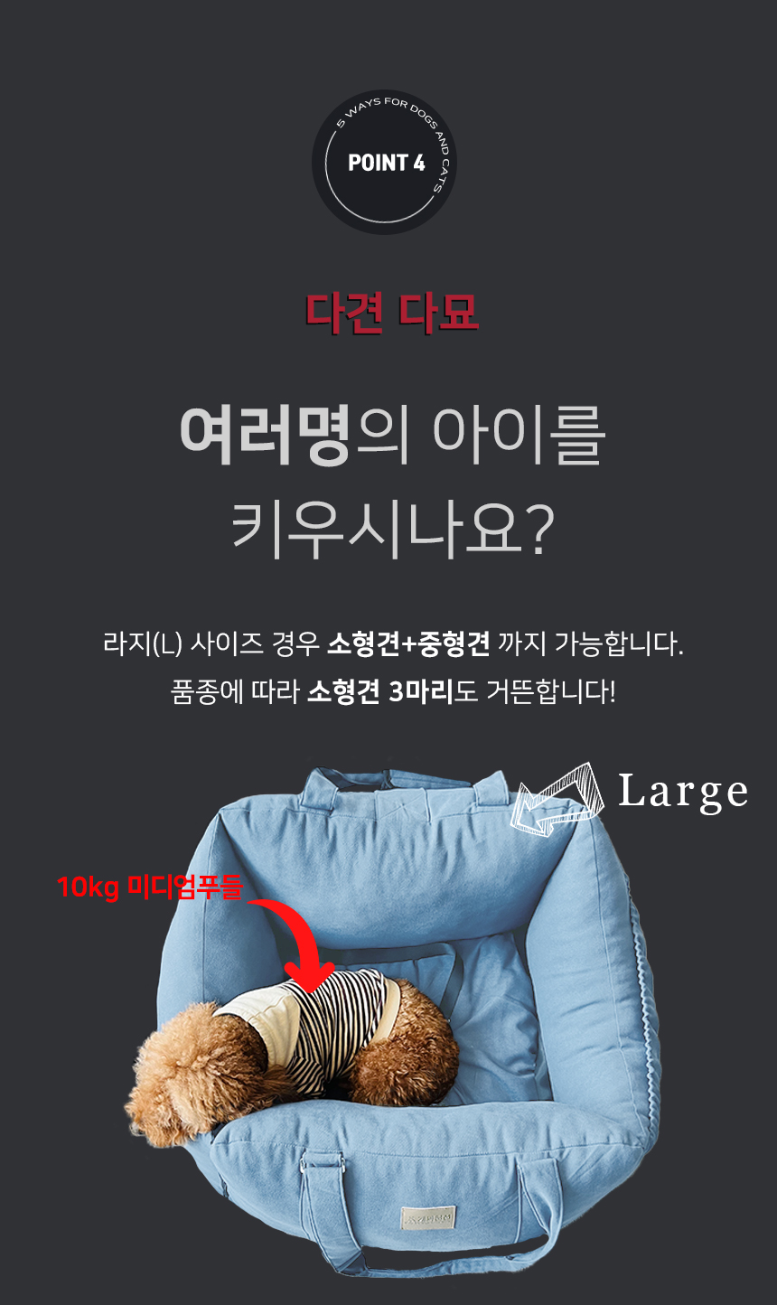 [NEW신상][무료배송] 개과천선 독 카이 카시트 (다크 베이지/블루) 13번째