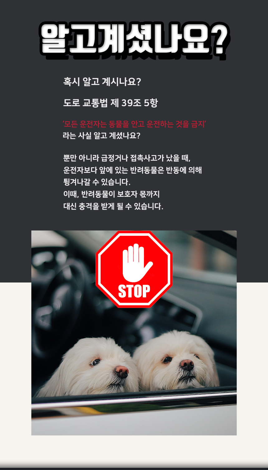 [NEW신상][무료배송] 개과천선 독 카이 카시트 (다크 베이지/블루) 7번째