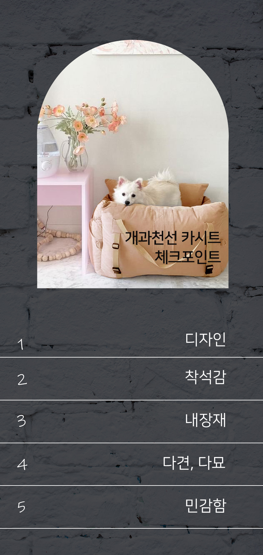 [NEW신상][무료배송] 개과천선 독 카이 카시트 (다크 베이지/블루) 9번째