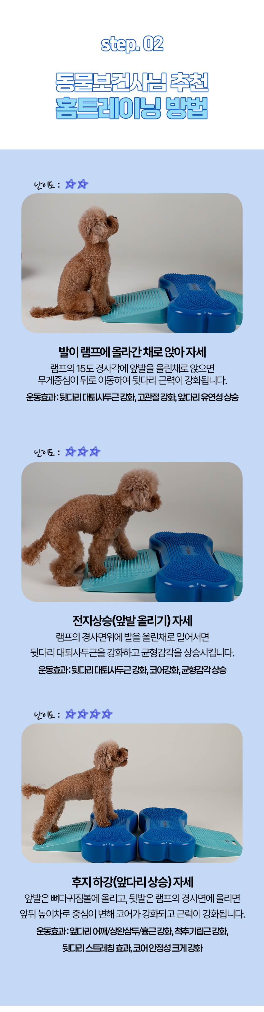 [NEW신상][무료배송] 페키움 강아지 튼튼 램프 짐볼 8번째