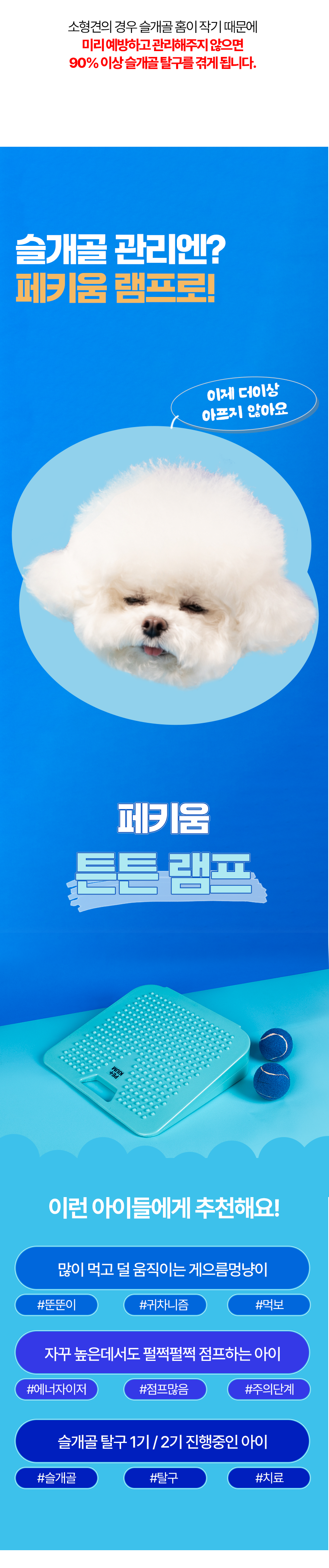 [NEW신상][무료배송] 페키움 강아지 튼튼 램프 짐볼 6번째