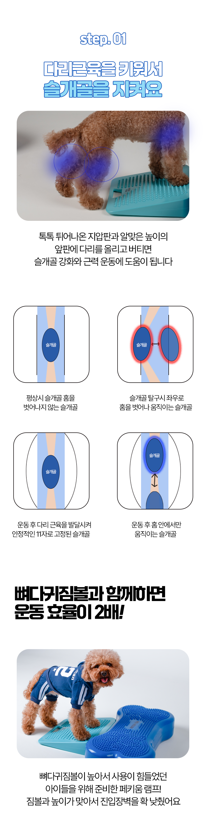 [NEW신상][무료배송] 페키움 강아지 튼튼 램프 짐볼 7번째