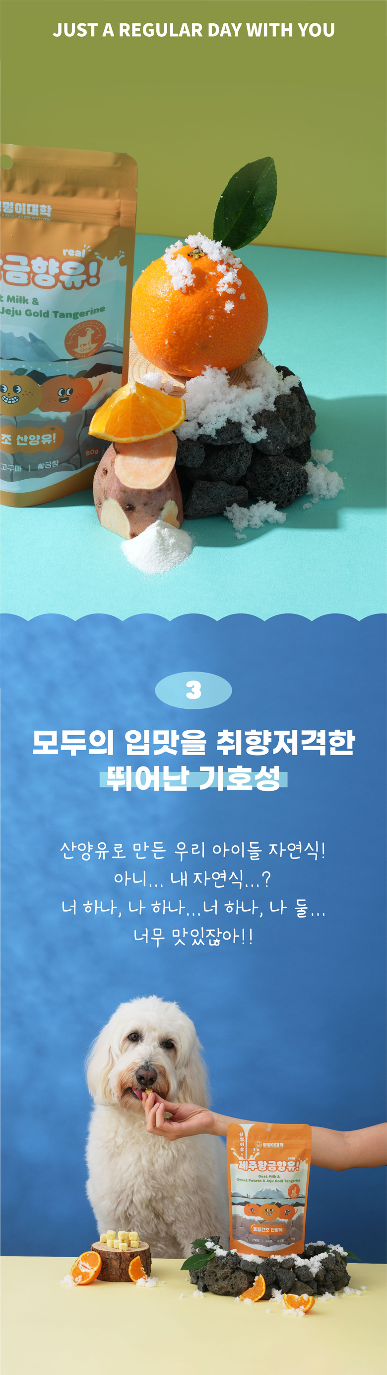 [NEW신상][무료배송] 멍멍이대학 동결건조 산양유 제주황금향 50g 10번째