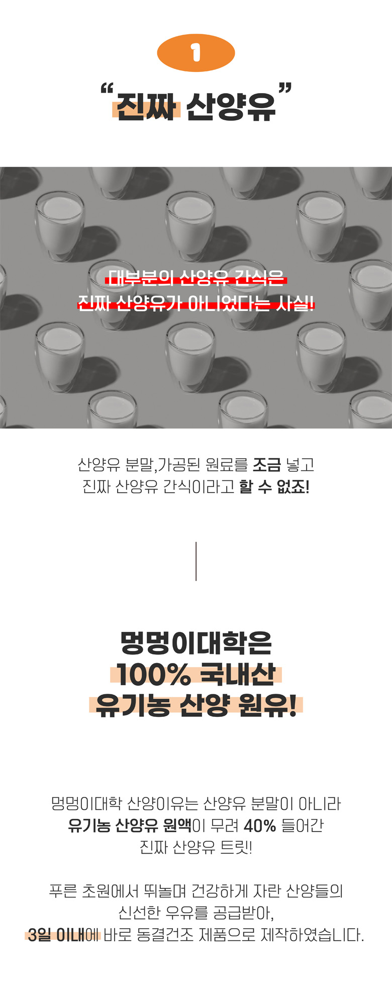[NEW신상][무료배송] 멍멍이대학 동결건조 산양유 제주황금향 50g 4번째
