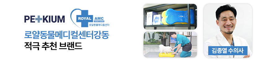 [NEW신상][무료배송] 페키움 플로우핏 자동 리드줄 (아이보리/블랙/민트/블루/퍼플/레드) 7번째