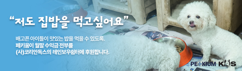 [NEW신상][무료배송] 페키움 플로우핏 자동 리드줄 (아이보리/블랙/민트/블루/퍼플/레드) 9번째