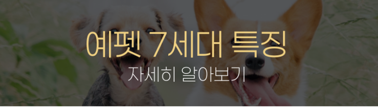 [무료배송] 예펫 우주선 가방 7세대 화이트 중형/특대형 9번째
