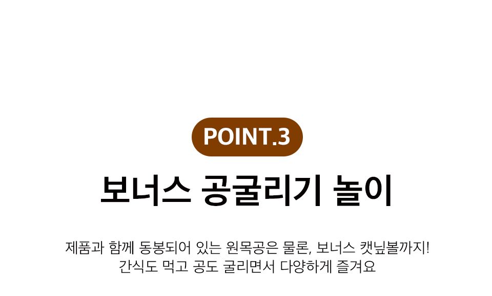 펫홀릭 스프링 간식볼 5번째