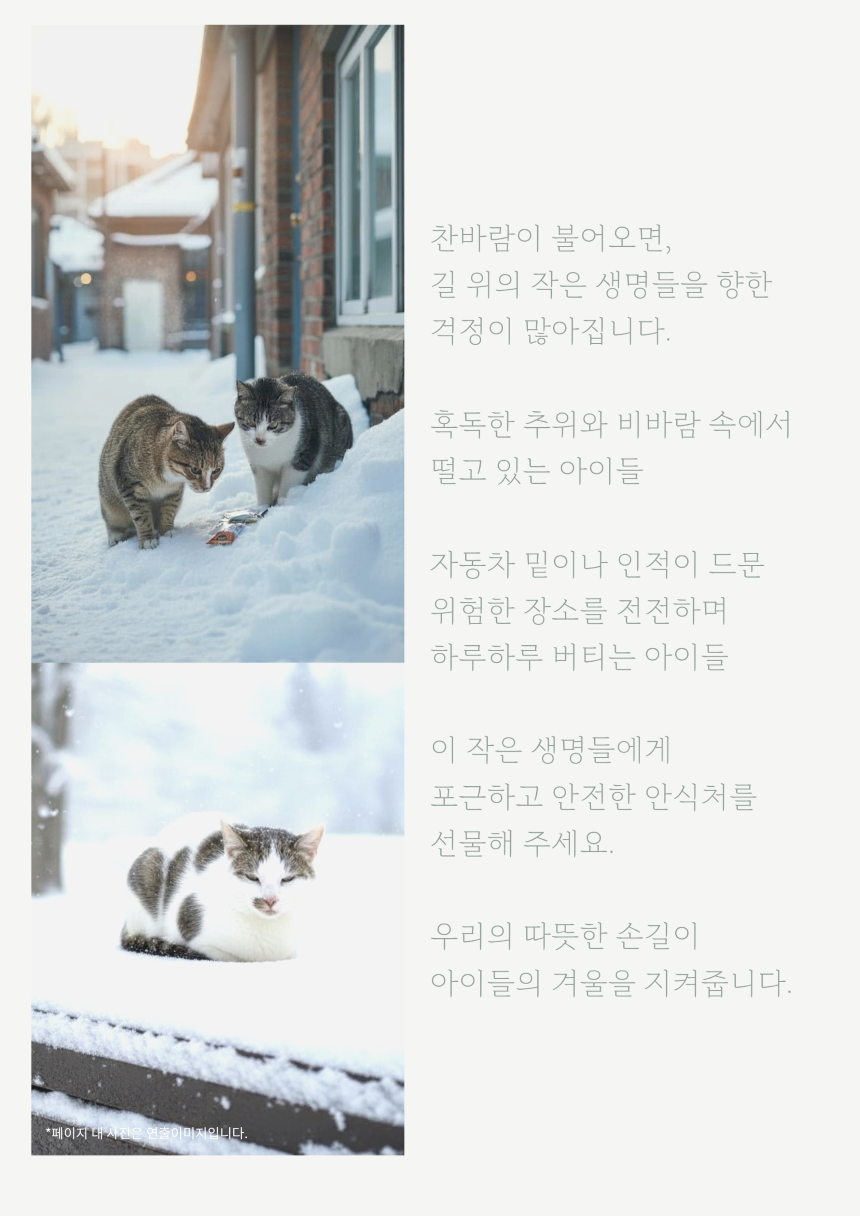 [NEW신상][무료배송] 보드미펫 방수 프레임 길고양이집 2번째