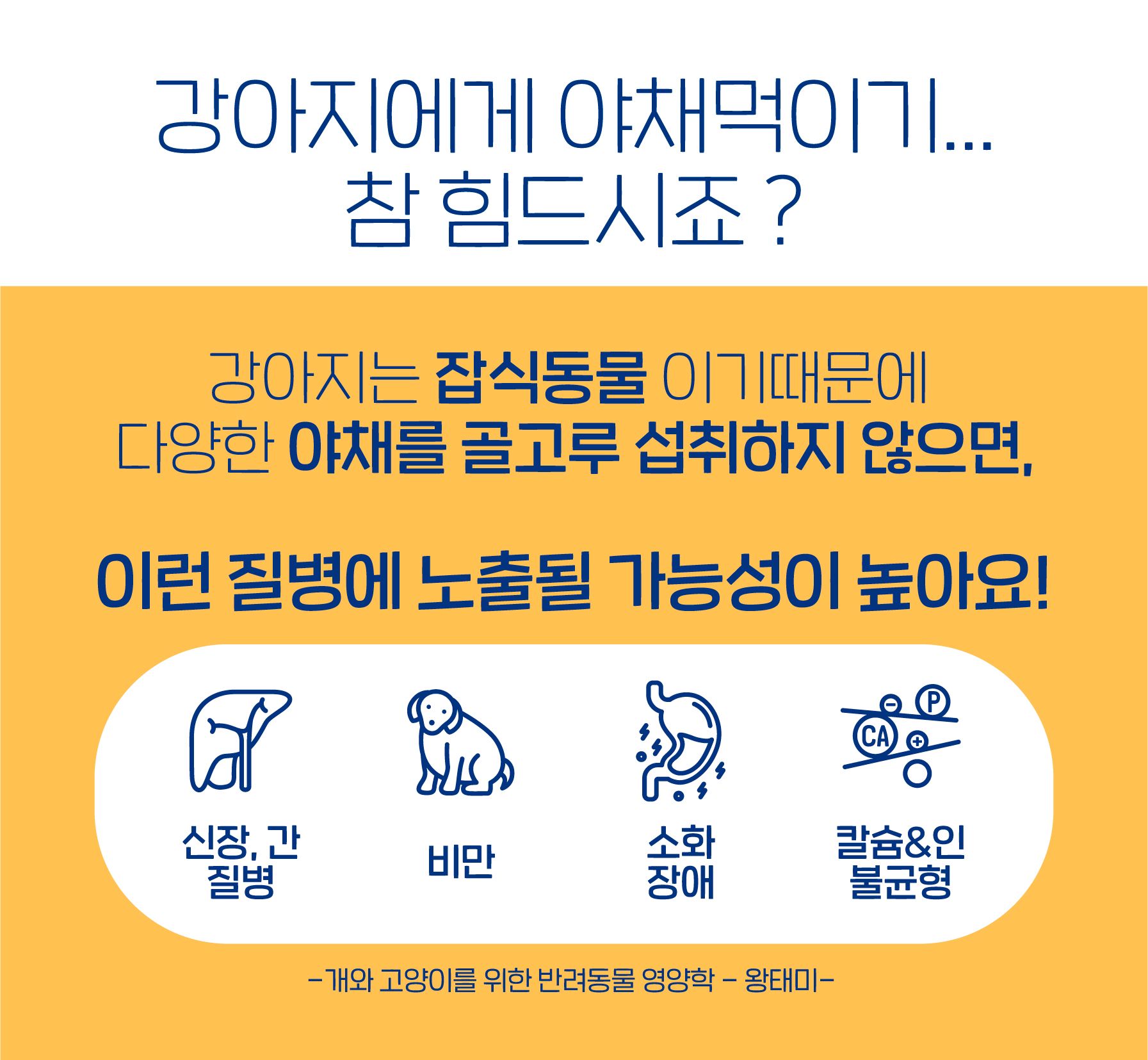 슈퍼포우 독 동결건조 오리후레이크 180g 18번째