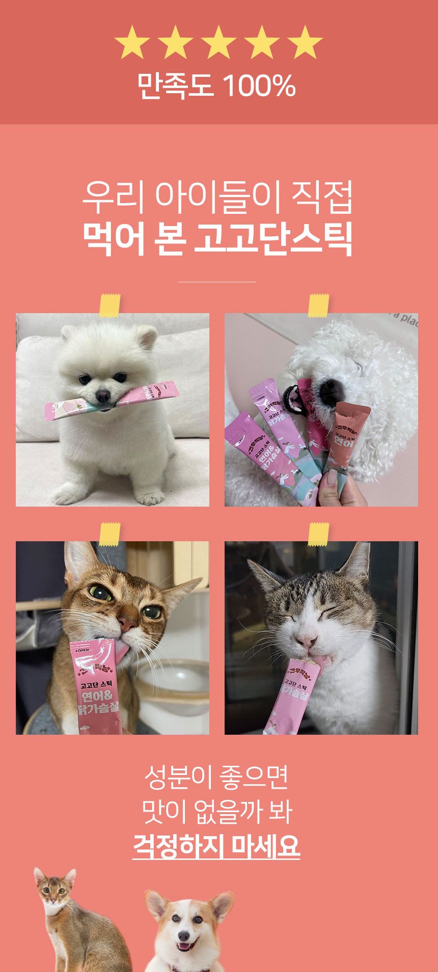 견우직냥 고고단스틱 연어&닭가슴살 15g*10p 4번째