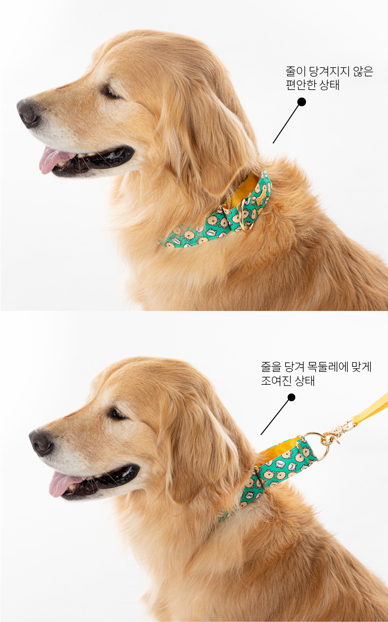 [무료배송] 노라독 스코티 프렌즈 마틴게일 목줄 S-XL 2번째