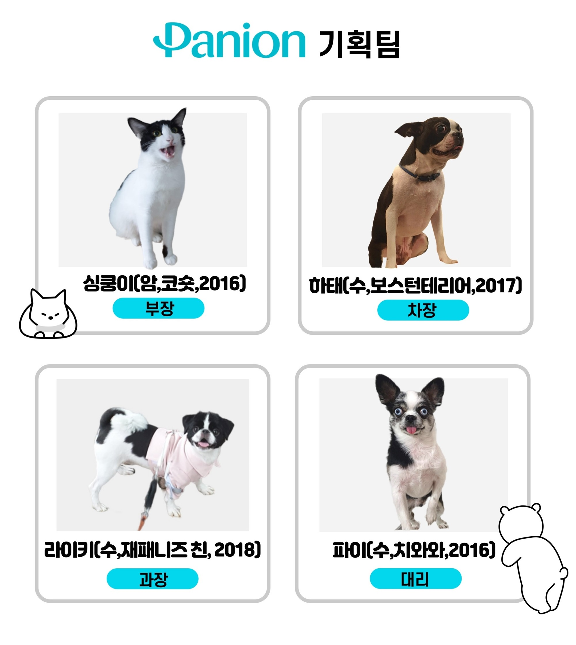 [무료배송] 파니온 앞섬방지 하네스 카키 L-2XL 6번째