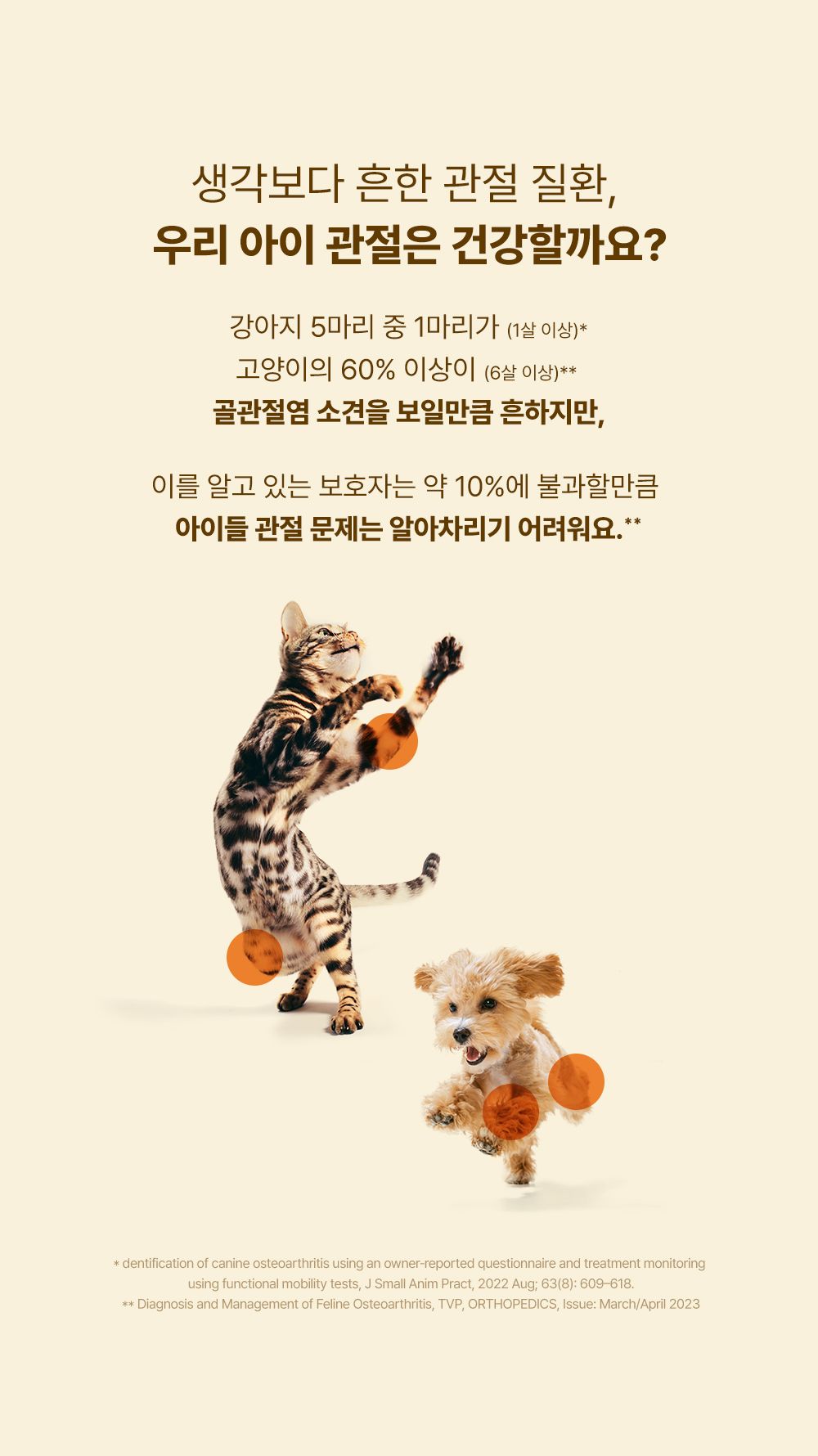 조공 커큐젠 관절 영양제 30캡슐 4번째