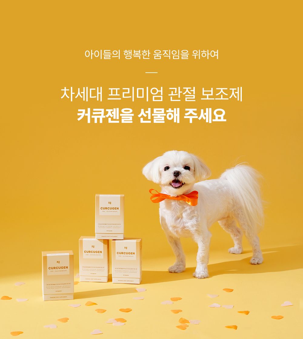 조공 커큐젠 관절 영양제 30캡슐 23번째