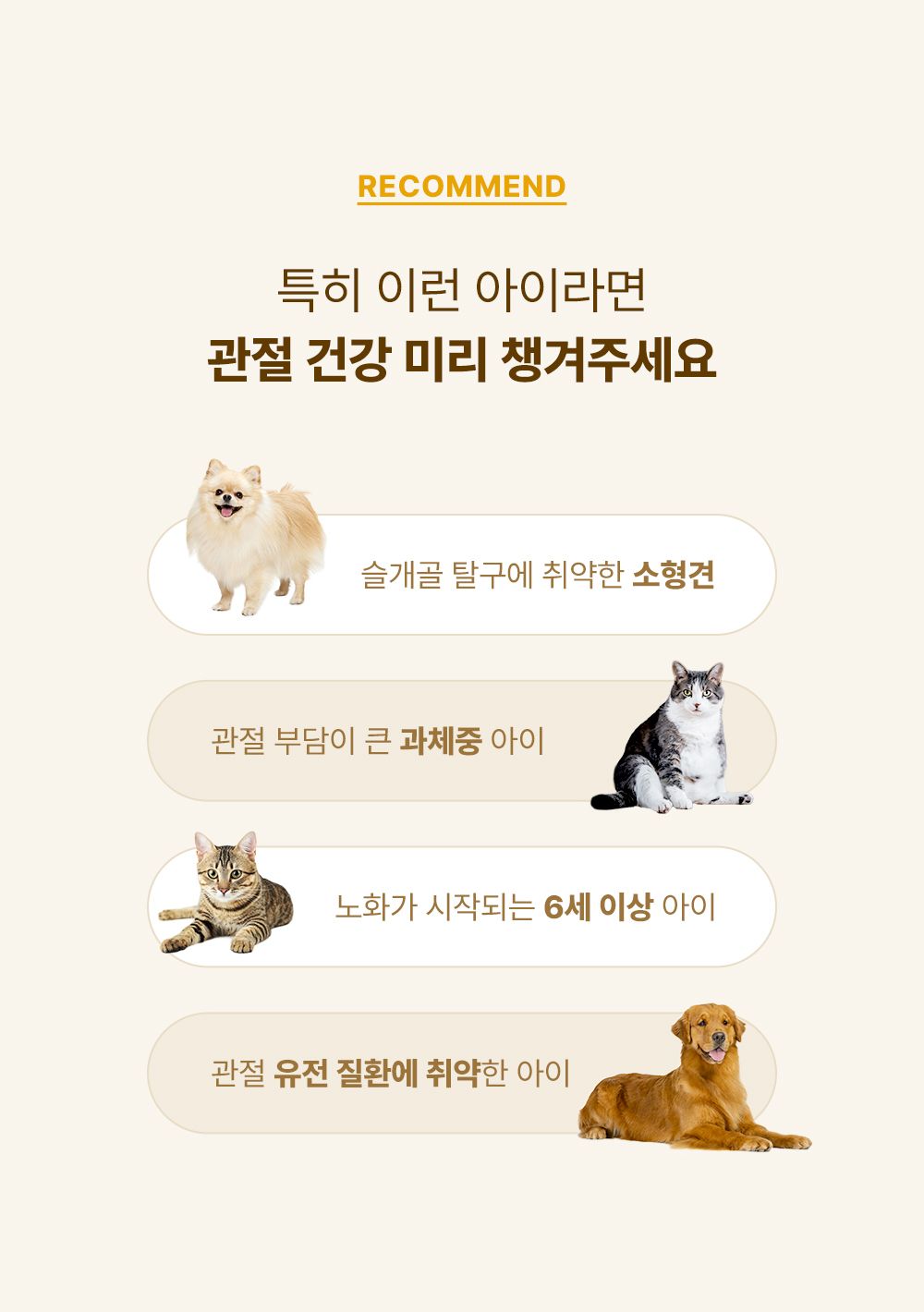 조공 커큐젠 관절 영양제 30캡슐 6번째