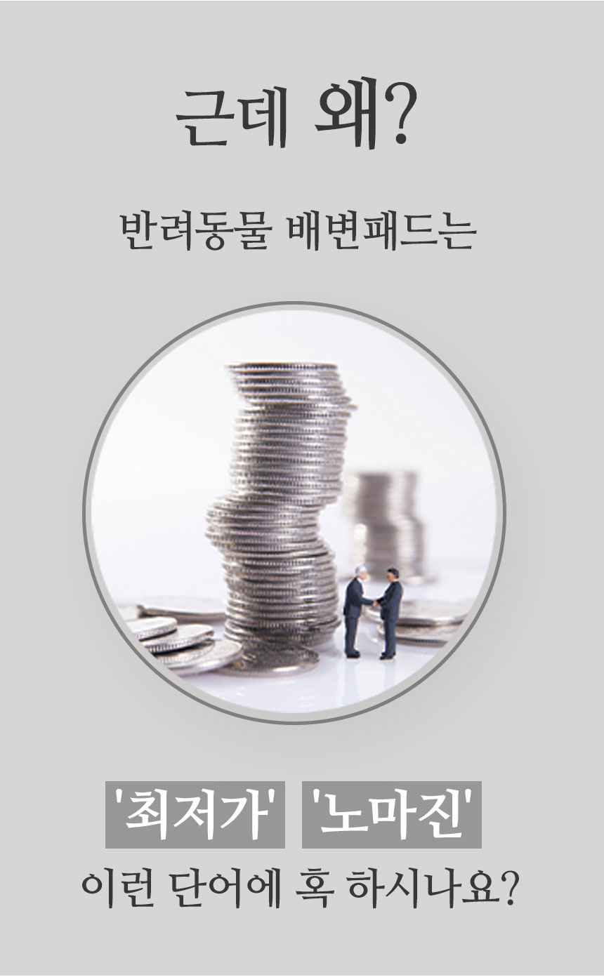 [무료배송] 펫토리아 한장뚝딱 강아지 배변패드 [모음] 5번째