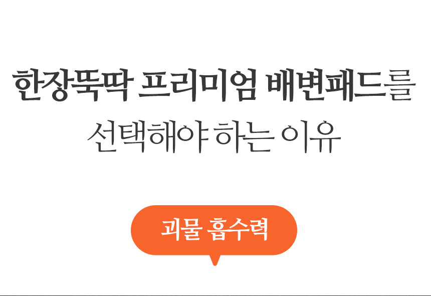 [무료배송] 펫토리아 한장뚝딱 강아지 배변패드 [모음] 37번째