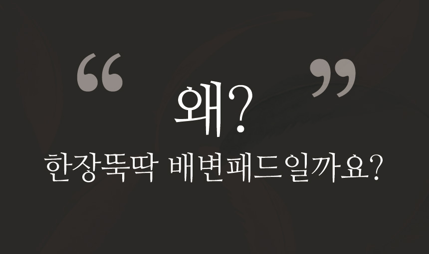 [무료배송] 펫토리아 한장뚝딱 강아지 배변패드 [모음] 20번째