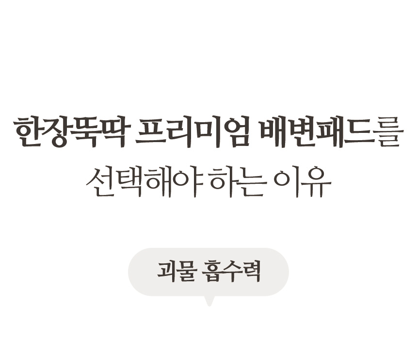[무료배송] 펫토리아 한장뚝딱 강아지 배변패드 [모음] 43번째