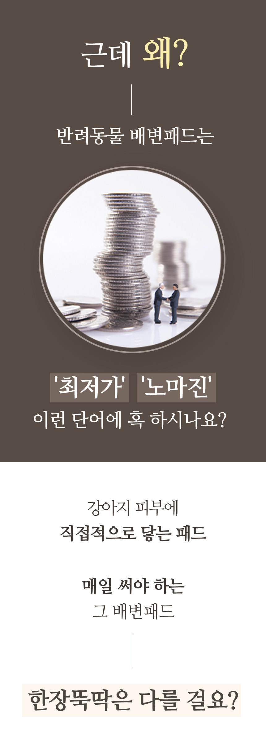[무료배송] 펫토리아 한장뚝딱 강아지 배변패드 [모음] 6번째