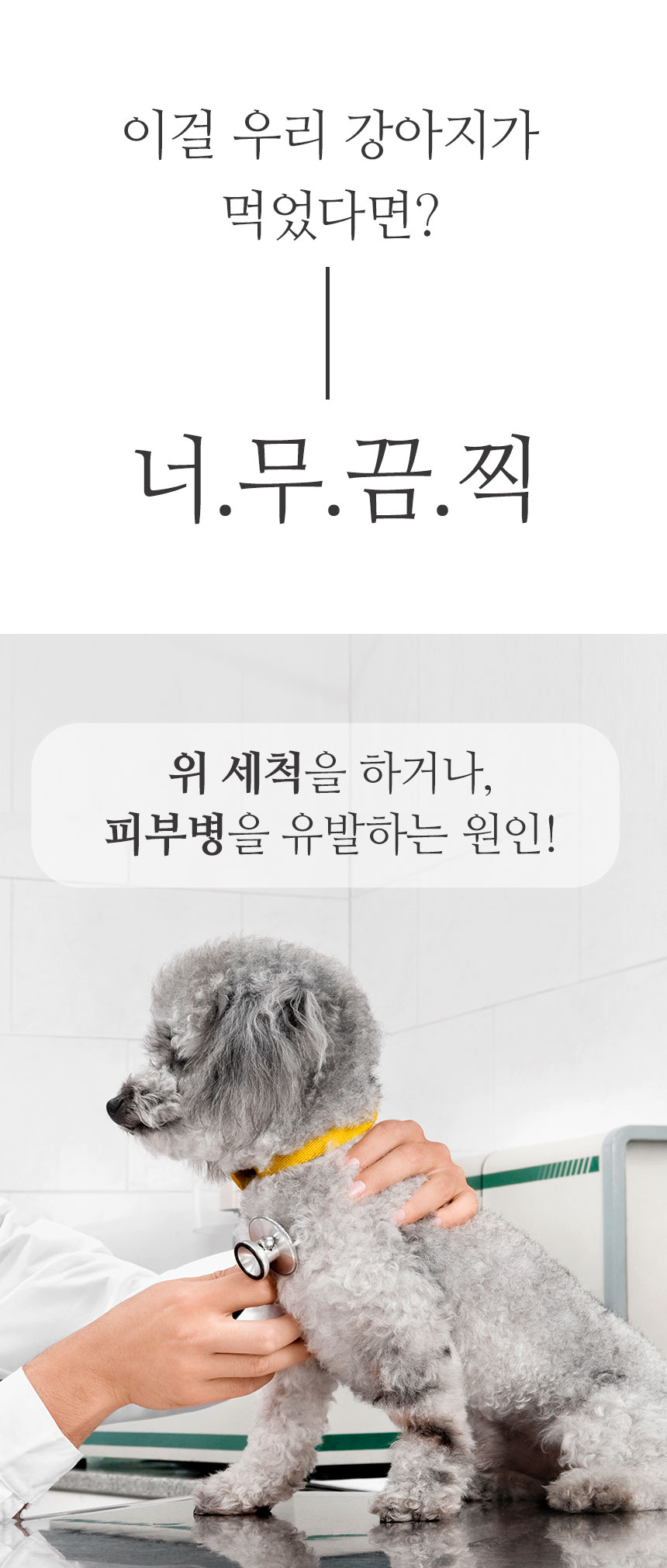 [무료배송] 펫토리아 한장뚝딱 강아지 배변패드 [모음] 10번째