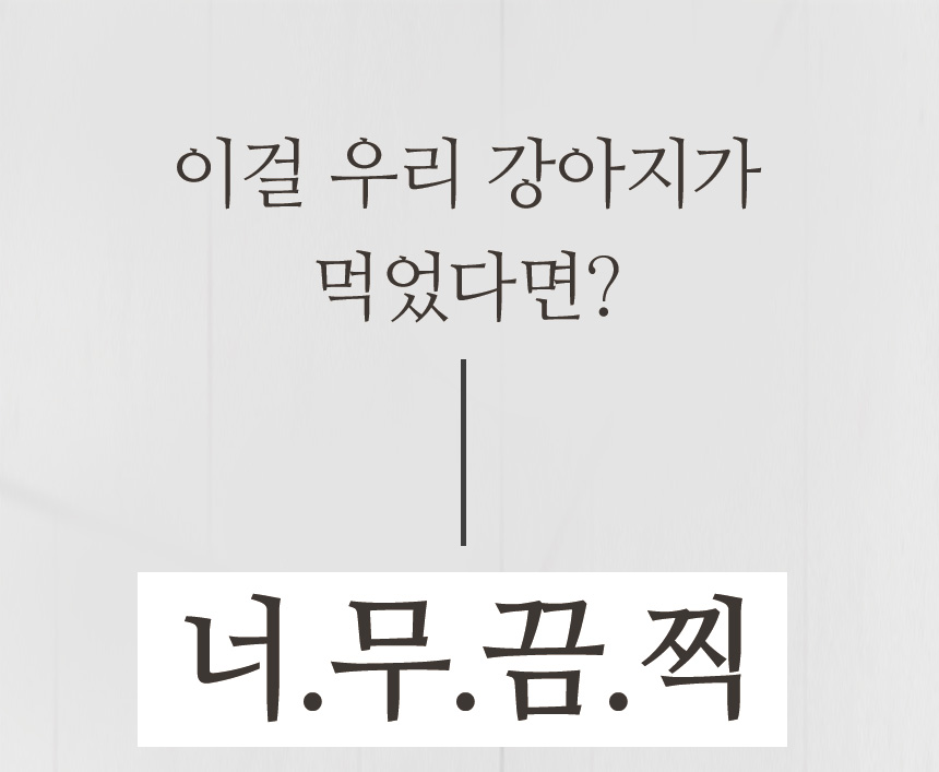 [무료배송] 펫토리아 한장뚝딱 강아지 배변패드 [모음] 13번째