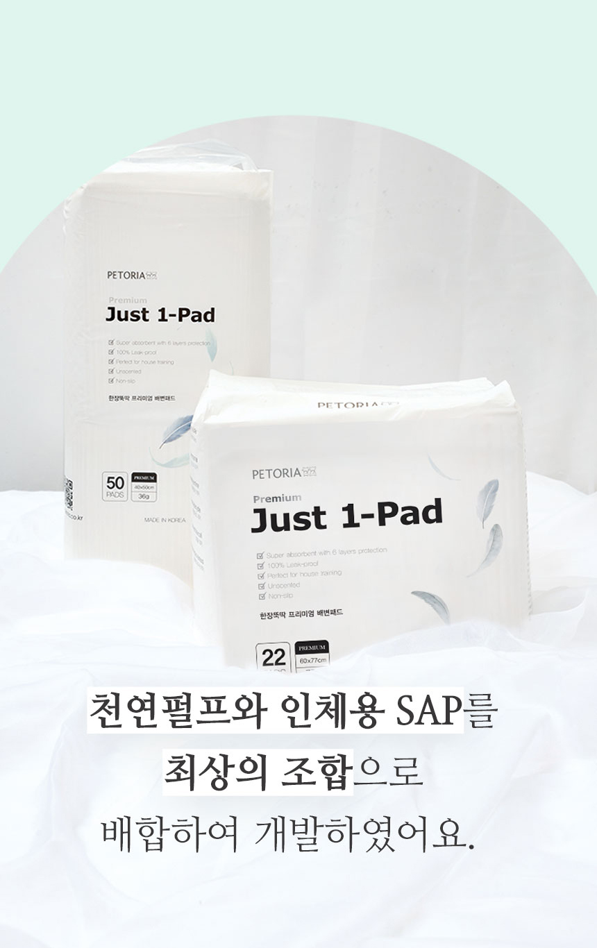 [무료배송] 펫토리아 한장뚝딱 강아지 배변패드 [모음] 12번째