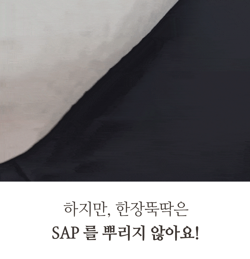 [무료배송] 펫토리아 한장뚝딱 강아지 배변패드 [모음] 15번째