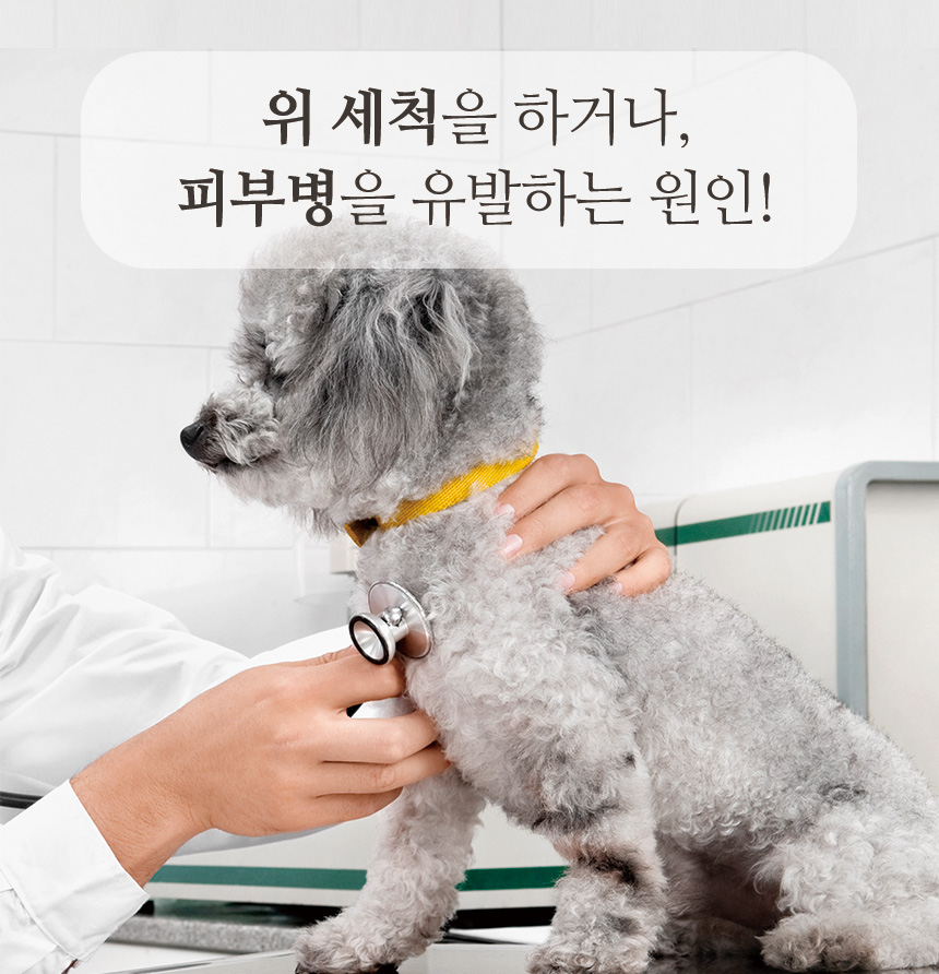 [무료배송] 펫토리아 한장뚝딱 강아지 배변패드 [모음] 14번째