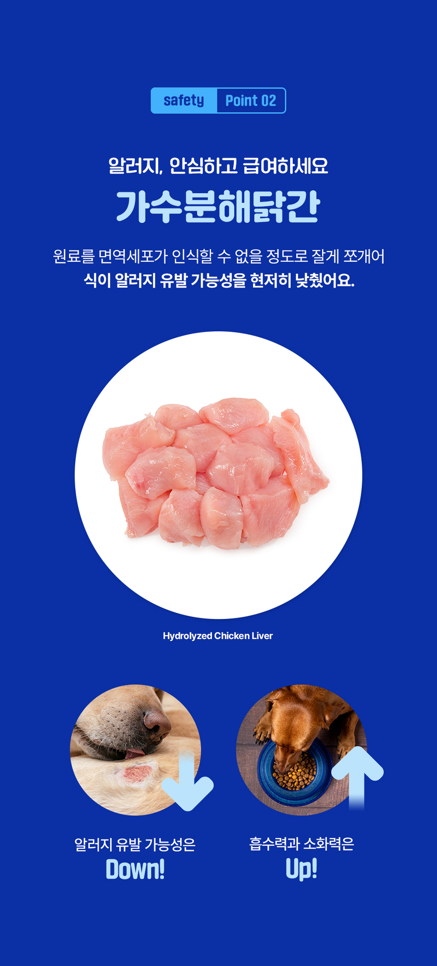 [무료배송] 라이프펫 강아지 관절영양제 조인트 90g 28번째