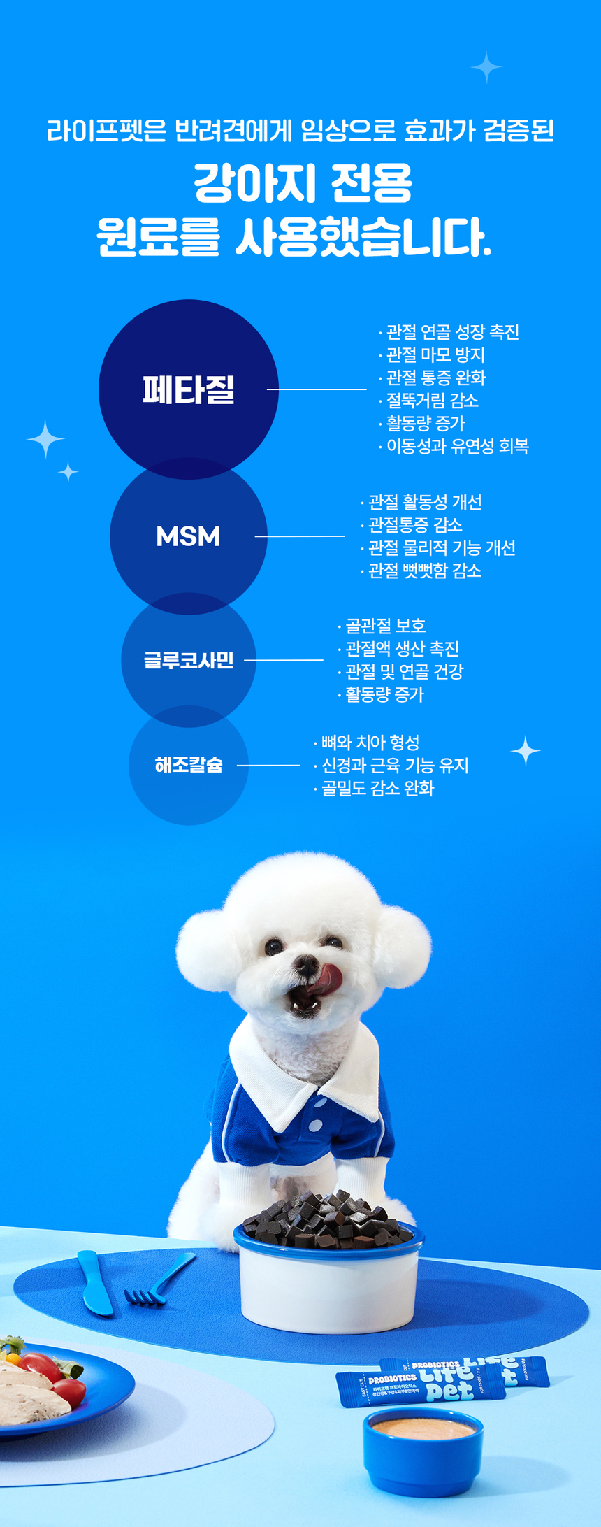 [무료배송] 라이프펫 강아지 관절영양제 조인트 90g 15번째