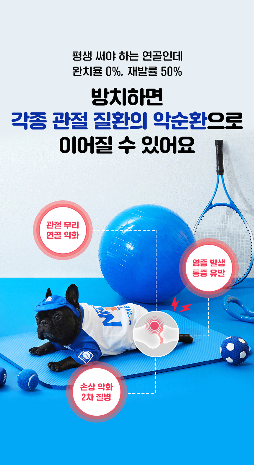 [무료배송] 라이프펫 강아지 관절영양제 조인트 90g 10번째