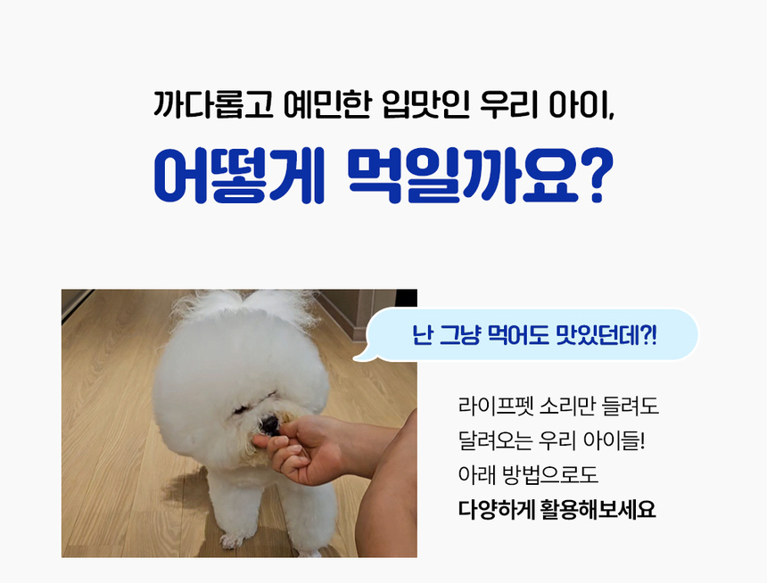 [무료배송] 라이프펫 강아지 관절영양제 조인트 90g 34번째