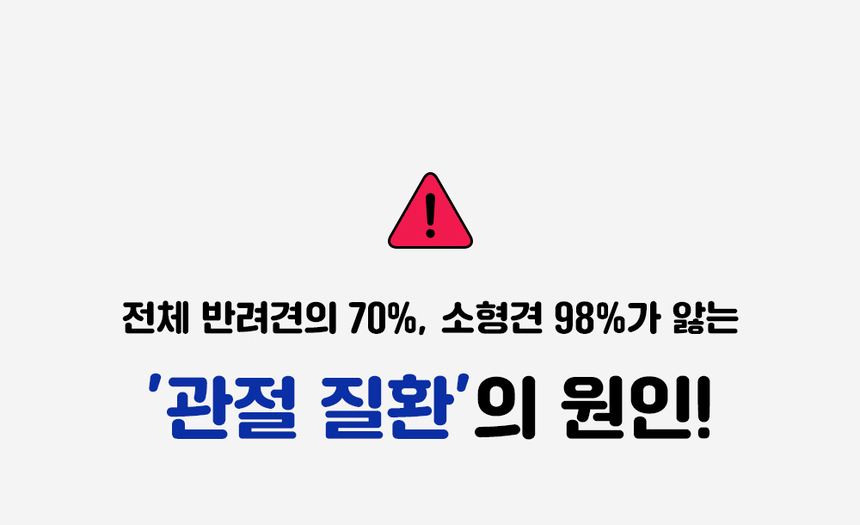 [무료배송] 라이프펫 강아지 관절영양제 조인트 90g 6번째