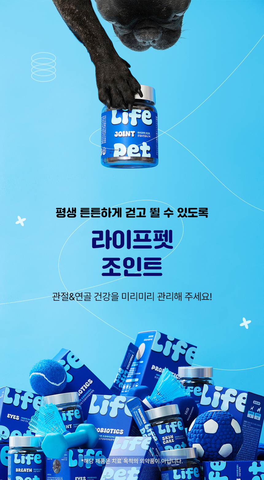 [무료배송] 라이프펫 강아지 관절영양제 조인트 90g 11번째