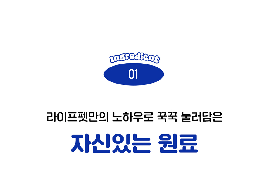 [무료배송] 라이프펫 강아지 관절영양제 조인트 90g 13번째