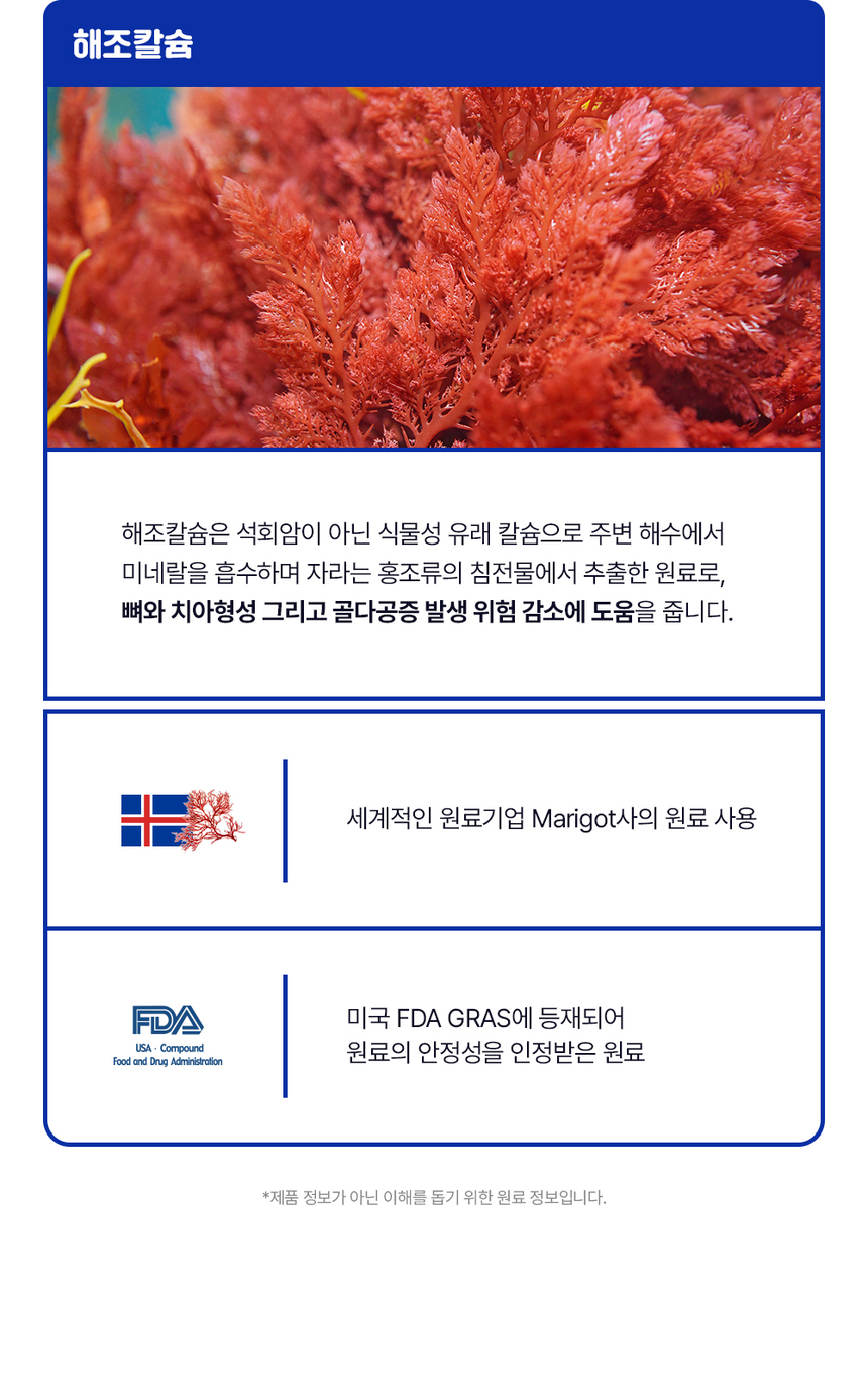 [무료배송] 라이프펫 강아지 관절영양제 조인트 90g 22번째