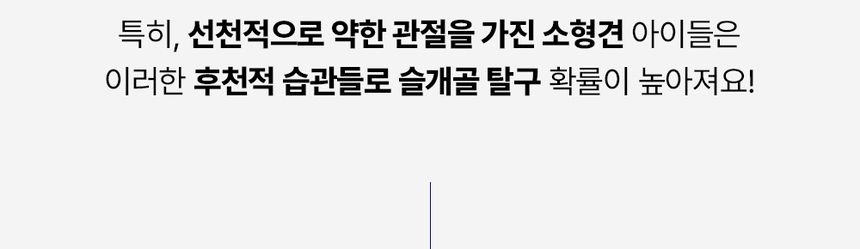 [무료배송] 라이프펫 강아지 관절영양제 조인트 90g 8번째