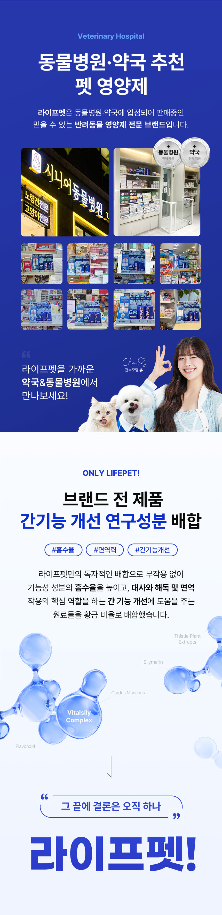 [무료배송] 라이프펫 강아지 관절영양제 조인트 90g 3번째