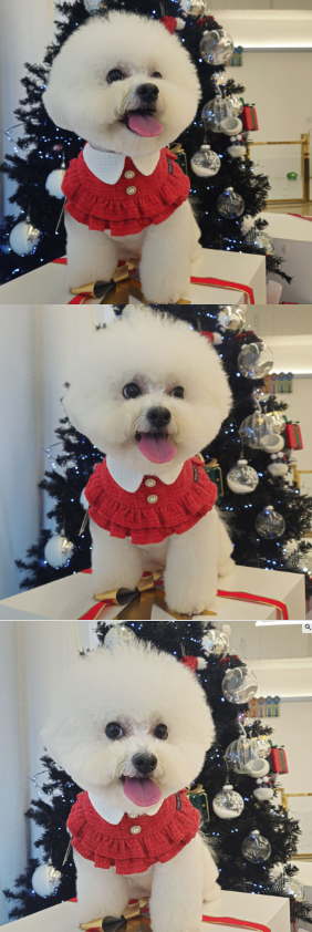 [NEW신상][무료배송] 리치독스 트위드 진주 스커트 케이프 레드 2번째