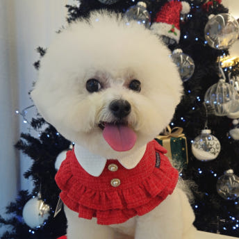 [NEW신상][무료배송] 리치독스 트위드 진주 스커트 케이프 레드 7번째